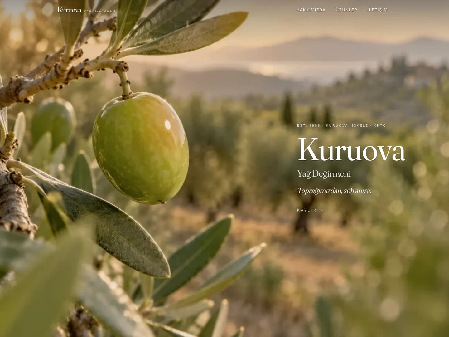 Kuruova Yağ Değirmeni web sitesi ekran görüntüsü