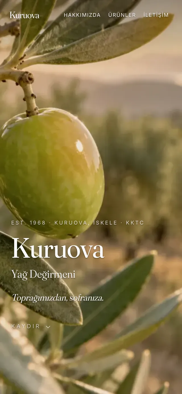 Kuruova Yağ Değirmeni, telefon görünümü